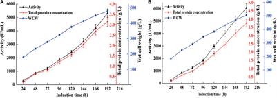 Heterologous Expression and Characterization of a High-Efficiency Chitosanase From Bacillus mojavensis SY1 Suitable for Production of Chitosan Oligosaccharides